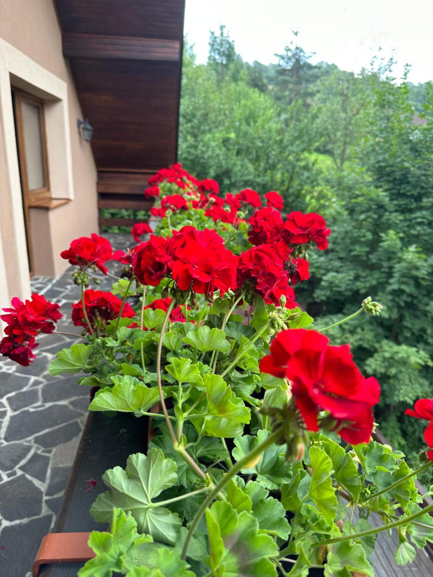 Mýto pod Ďumbierom Holiday Home Skalka المظهر الخارجي الصورة